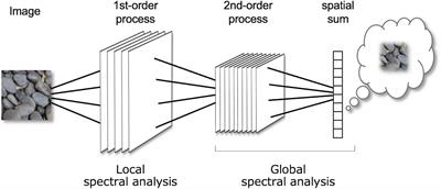 Human Texture Vision as Multi-Order Spectral Analysis